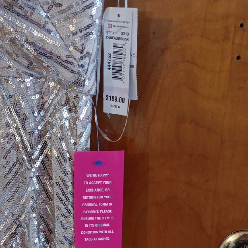 Champagne Silver Sequin Gown - Picture 2 of 10